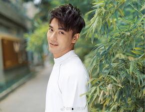 在娱乐圈吃瓜看戏的日子